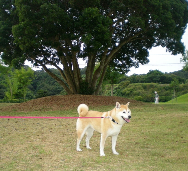2010年9月7日(火)占い師愛ちゃん!_f0060461_9351488.jpg