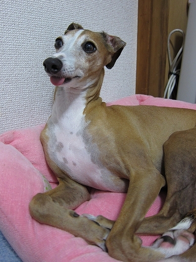 f0158862_20751100.jpg