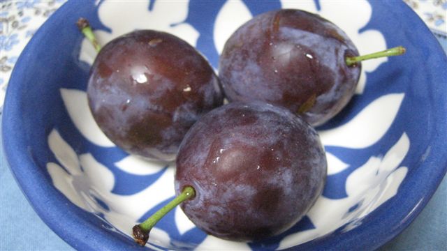a0123465_011841.jpg