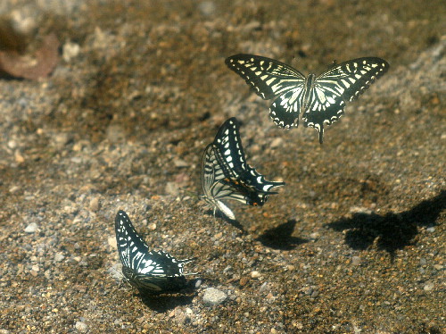 f0208666_18122434.jpg