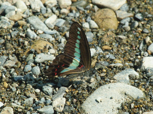 f0208666_18143254.jpg