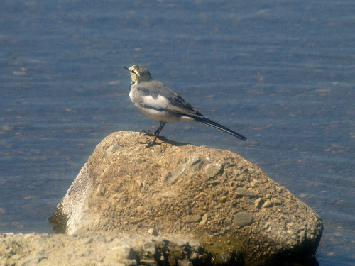 f0208666_18234463.jpg