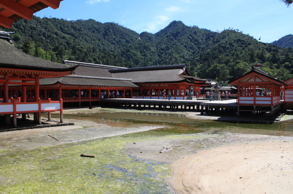 b0055171_15594071.jpg