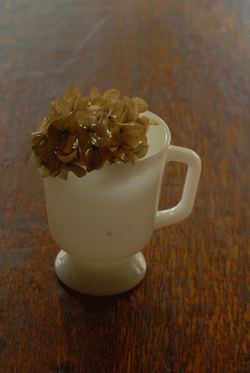 b0173176_18205176.gif