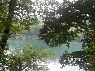e0014678_1681337.jpg