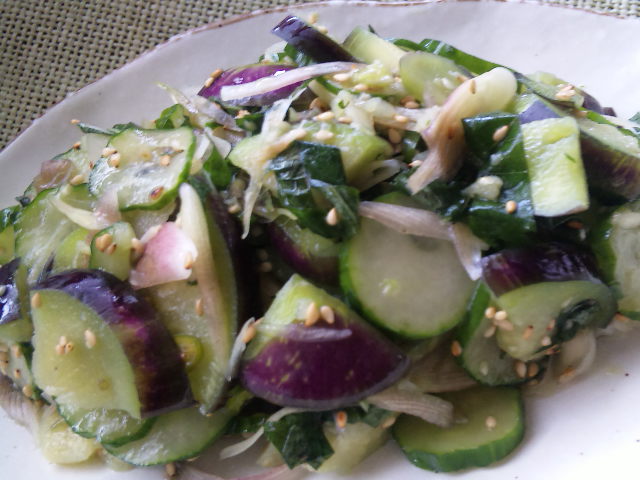 みょうがとナスとキュウリの浅漬け Dailyまんま みょうがとナスとキュウリの浅漬け Dailyまんま