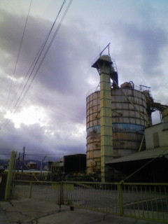 f0162381_23535.jpg