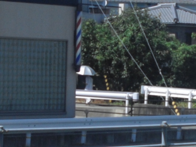 まっ、ないか!_f0172281_20314036.jpg