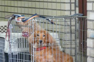 2010年9月8日 かくし玉_b0098584_1711455.jpg