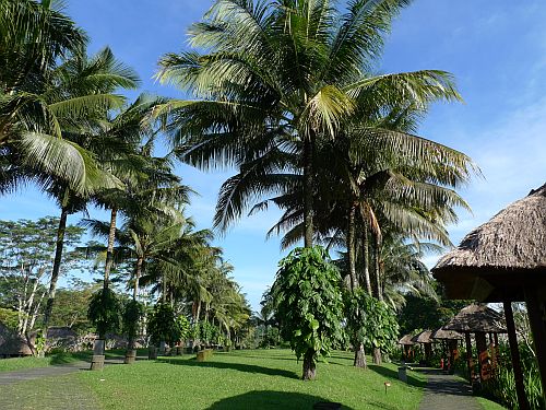 Maya Ubud Resort & Spa　　= Garden etc... =_c0102085_091685.jpg