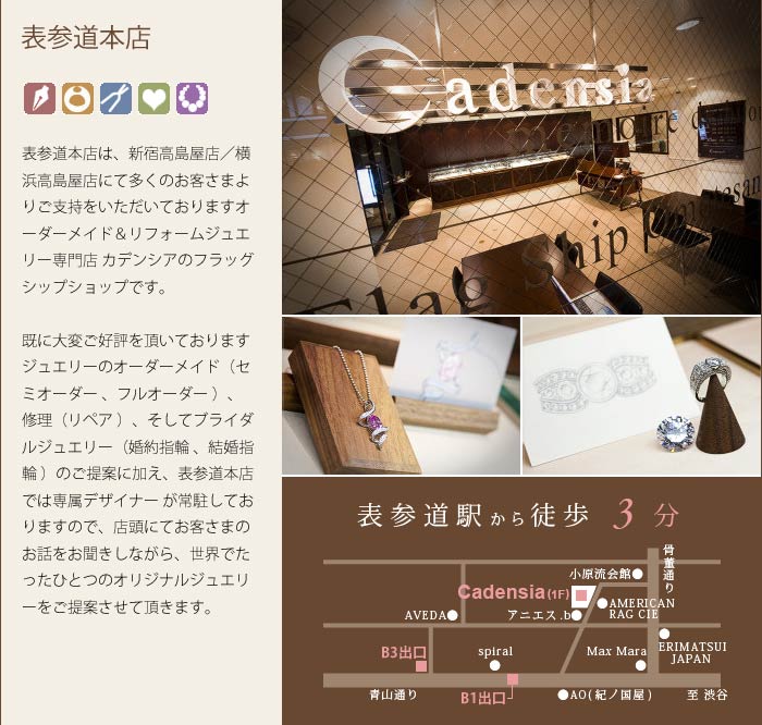 カデンシアNEWS最新号_f0218886_9574814.jpg