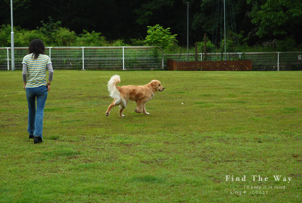 【犬的散歩日和】栃木・那須 7/12 〜 ペンションオリーブさん 6_f0054594_43579.jpg