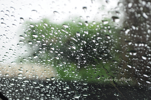 雨の一日_a0161698_1918829.jpg