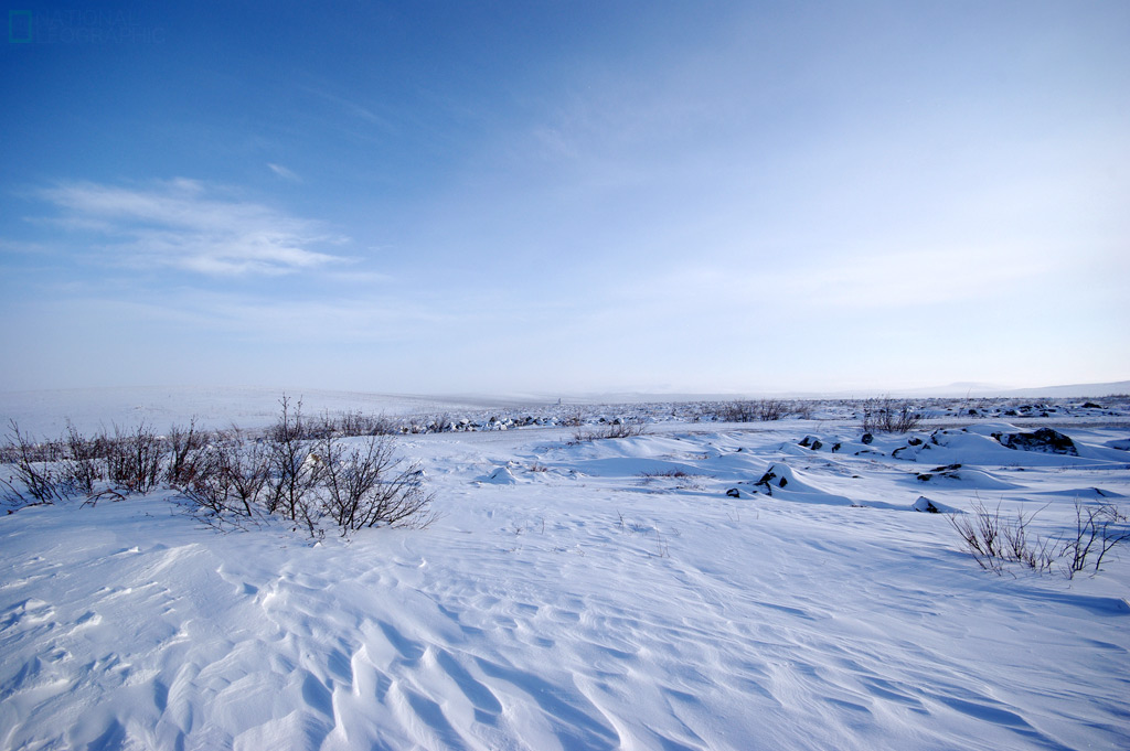 Alaska - Day 6: Arctic Circle -11- 【Finger Rock by K200D】_c0080101_17101939.jpg