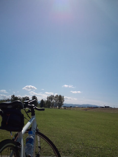 d0160307_16544088.jpg