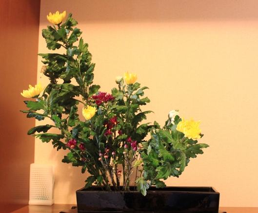 c0212410_2141330.jpg