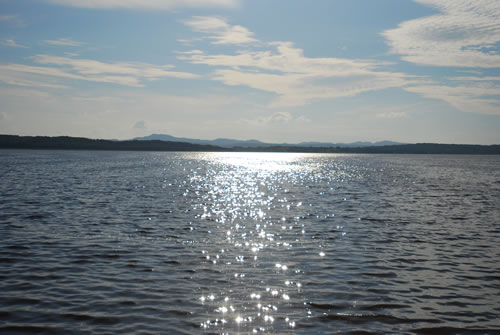 b0021211_8501533.jpg