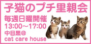 コロ子ちゃんとオト美ちゃんの近況報告♪_e0144012_13203366.gif