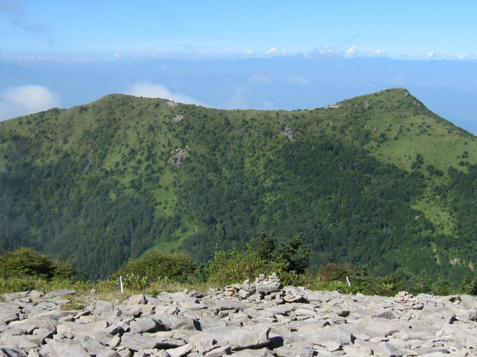 d0103314_1418311.jpg