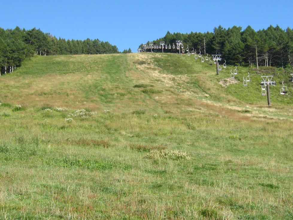 d0103314_1423731.jpg