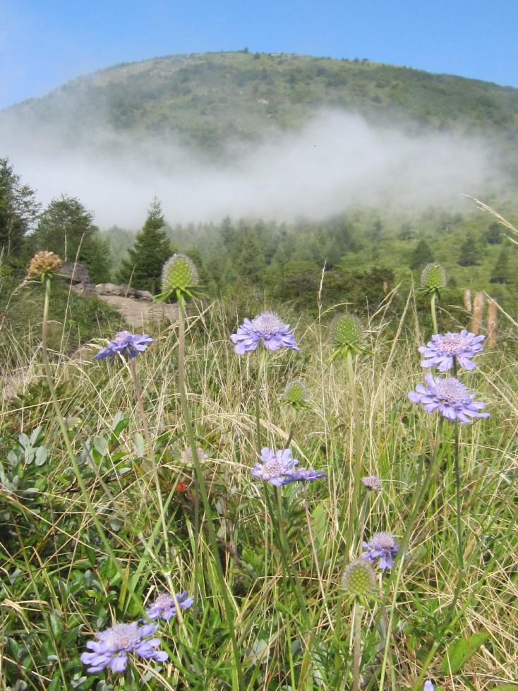 湯ノ丸山・・・また行っちゃいました！_d0103314_1454365.jpg