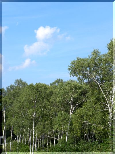 c0073016_1833169.jpg