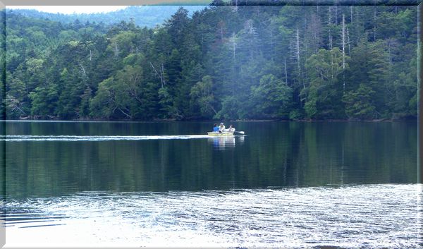 c0073016_2271116.jpg