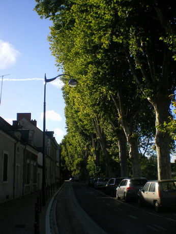 c0124619_3422642.jpg