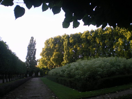 c0124619_3441086.jpg