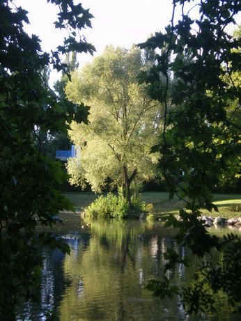 c0124619_347796.jpg