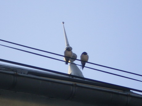 c0124619_349063.jpg