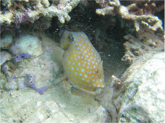 e0142619_02950.jpg