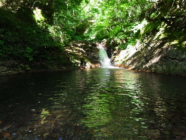 d0111124_6233077.jpg