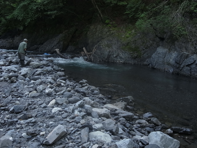 d0111124_6571572.jpg