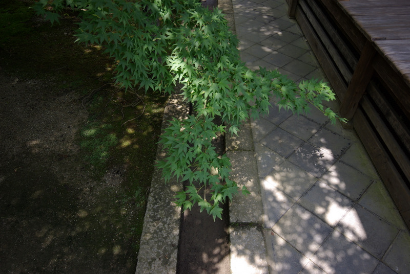 c0195327_17135357.jpg