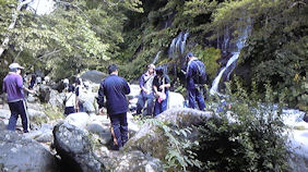 f0161535_22412259.jpg