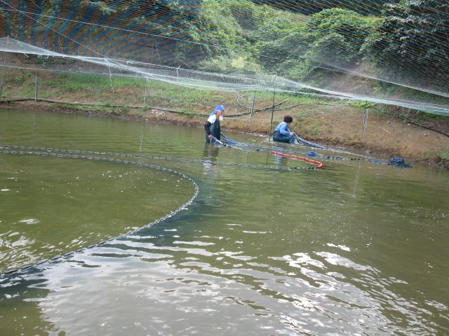 f0214235_0124031.jpg