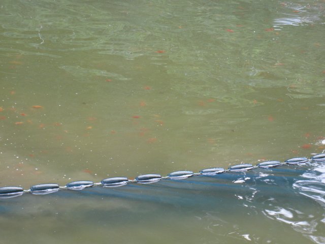 f0214235_014686.jpg