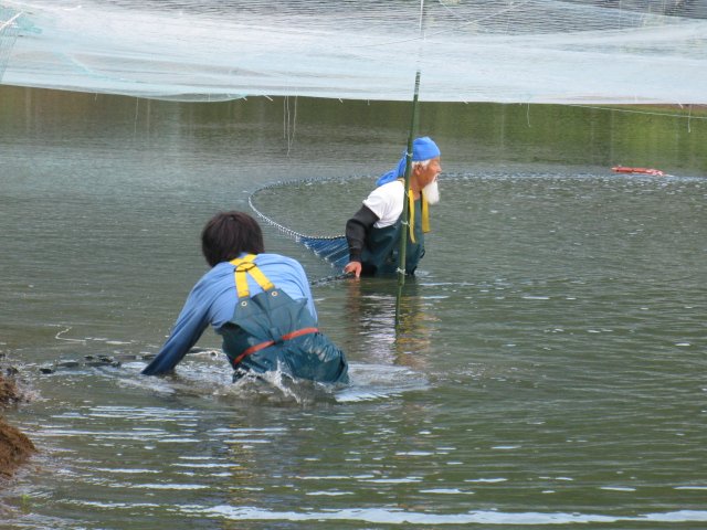 f0214235_0164648.jpg