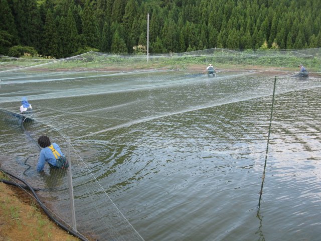 f0214235_0173834.jpg