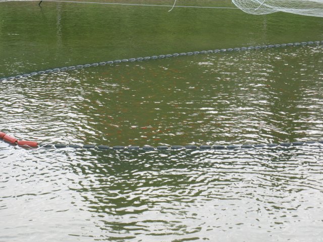 f0214235_0235461.jpg