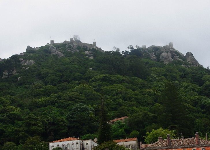 c0051938_9532278.jpg