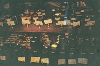 f0140938_106739.jpg