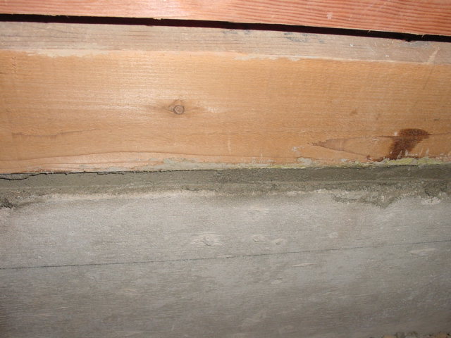 e0196845_9524730.jpg
