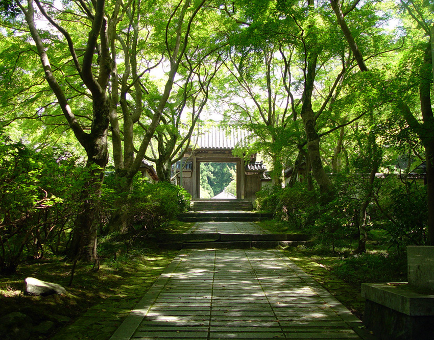 大阪　河内長野市　延命寺　新緑　睡蓮_c0108146_20483678.jpg