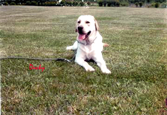 b0198051_23112042.gif