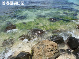 f0190653_111531.jpg