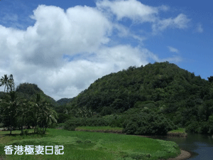 f0190653_11462893.gif