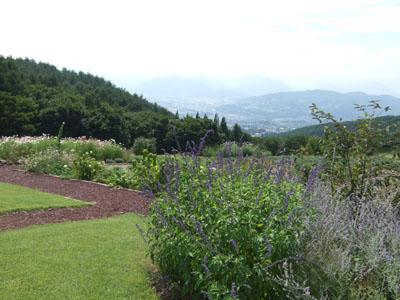 f0185066_14285152.jpg