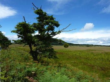 f0185066_224508.jpg